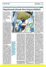 Krónika XXIII. évfolyam, 45. szám