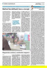 Krónika XXIII. évfolyam, 45. szám