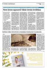 Krónika XXIII. évfolyam, 46. szám