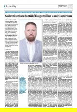 Krónika XXIII. évfolyam, 50. szám
