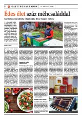 Székelyhon napilap III. évfolyam, 53. szám