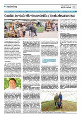 Krónika XXIII. évfolyam, 55. szám