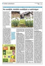 Krónika XXIII. évfolyam, 57. szám