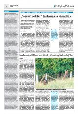 Krónika XXIII. évfolyam, 61. szám