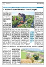 Krónika XXIII. évfolyam, 62. szám
