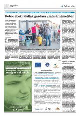 Krónika XXIII. évfolyam, 63. szám