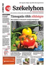 III. évfolyam, 63. szám
