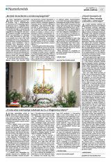 Krónika XXIII. évfolyam, 65. szám