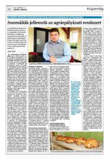 Krónika XXIII. évfolyam, 68. szám