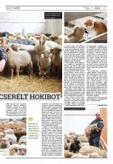 Székelyhon napilap III. évfolyam, 68. szám