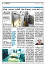 Krónika XXIII. évfolyam, 73. szám