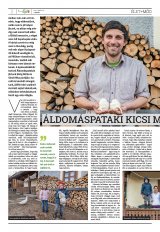 Székelyhon napilap III. évfolyam, 73. szám