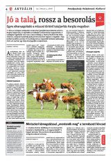 Székelyhon napilap III. évfolyam, 74. szám