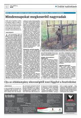 Krónika XXIII. évfolyam, 74. szám