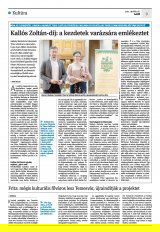 Krónika XXIII. évfolyam, 79. szám