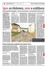 Székelyhon napilap III. évfolyam, 79. szám