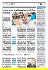 Krónika XXIII. évfolyam, 85. szám