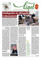 Székelyhon napilap III. évfolyam, 87. szám