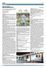 Krónika XXIII. évfolyam, 88. szám