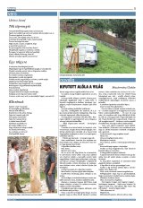 Krónika XXIII. évfolyam, 88. szám