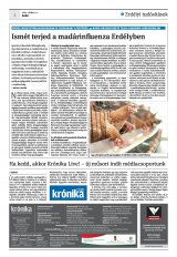 Krónika XXIII. évfolyam, 89. szám