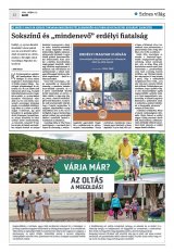 Krónika XXIII. évfolyam, 93. szám