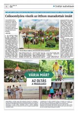 Krónika XXIII. évfolyam, 94. szám