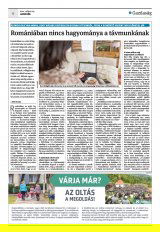 Krónika XXIII. évfolyam, 96. szám