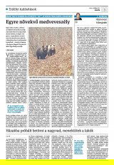 Krónika XXIII. évfolyam, 99. szám