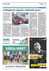 Krónika XXIII. évfolyam, 99. szám