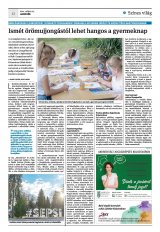 Krónika XXIII. évfolyam, 100. szám