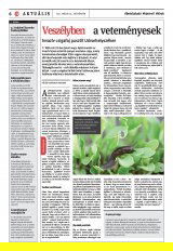 Székelyhon napilap III. évfolyam, 100. szám