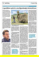 Krónika XXIII. évfolyam, 101. szám
