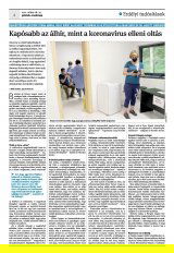 Krónika XXIII. évfolyam, 101. szám