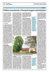 Krónika XXIII. évfolyam, 125. szám
