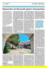 Krónika XXIII. évfolyam, 127. szám