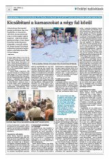 Krónika XXIII. évfolyam, 132. szám