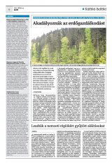 Krónika XXIII. évfolyam, 136. szám