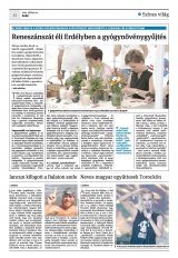 Krónika XXIII. évfolyam, 137. szám
