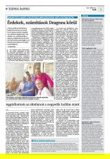 Krónika XXIII. évfolyam, 137. szám