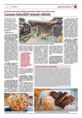 Krónika XXIII. évfolyam, 139. szám