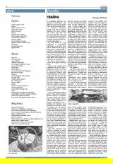 Krónika XXIII. évfolyam, 141. szám