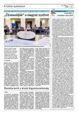 Krónika XXIII. évfolyam, 142. szám