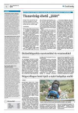 Krónika XXIII. évfolyam, 156. szám