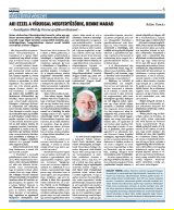 Krónika XXIII. évfolyam, 201. szám