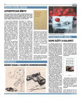 Krónika XXIII. évfolyam, 201. szám
