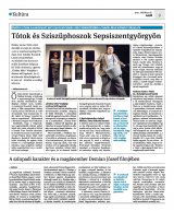 Krónika XXIII. évfolyam, 201. szám