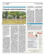 Krónika XXIII. évfolyam, 204. szám
