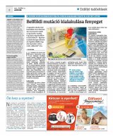 Krónika XXIII. évfolyam, 204. szám