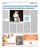 Krónika XXIII. évfolyam, 205. szám